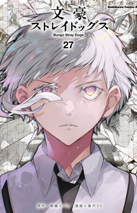 Bungou Stray Dogs Cover Image