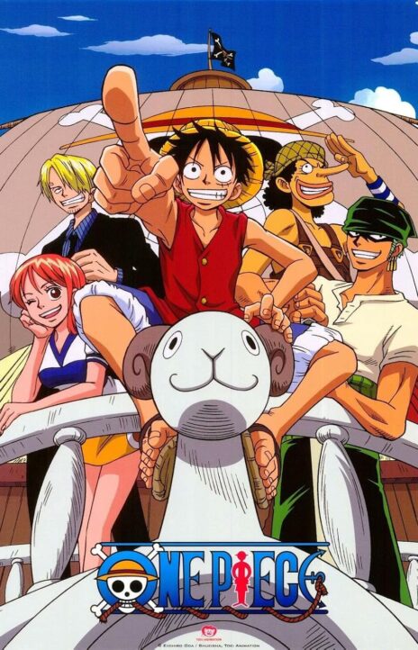 One Piece Cover Image