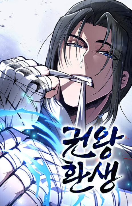 Reincarnation of the Fist King Cover Image