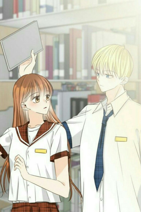 Meet You Cover Image