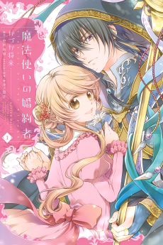 Fiancée of the Wizard Cover Image