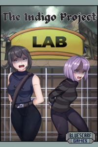 The Indigo Project - 365 Cover Image