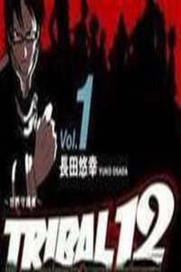 Tribal 12 Cover Image