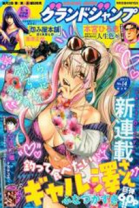 Tsutte Tabetai Gal Sawa-san Cover Image